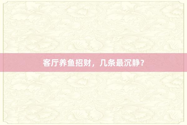 客厅养鱼招财，几条最沉静？